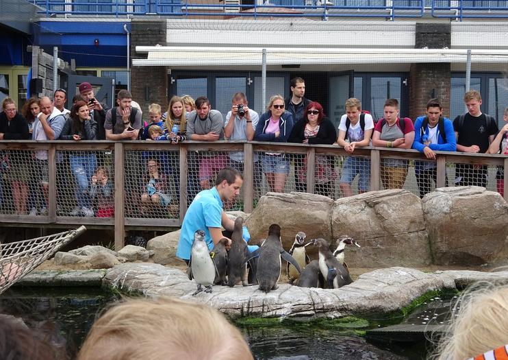 SEA LIFE® Scheveningen
